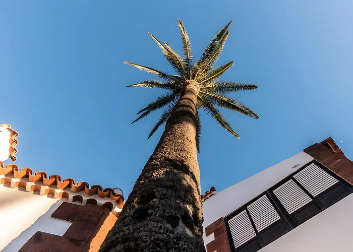 Casa Niebla *