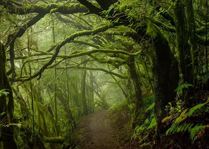 Сasa de vacaciones Casa Niebla Alajeró
